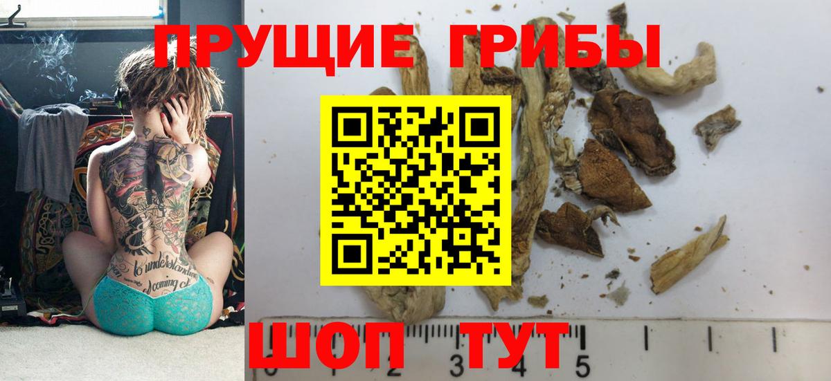 Псилоцибиновые грибы Psilocybe  Псилоцибиновые грибы Psilocybe  Медногорск  Вход с VPN 